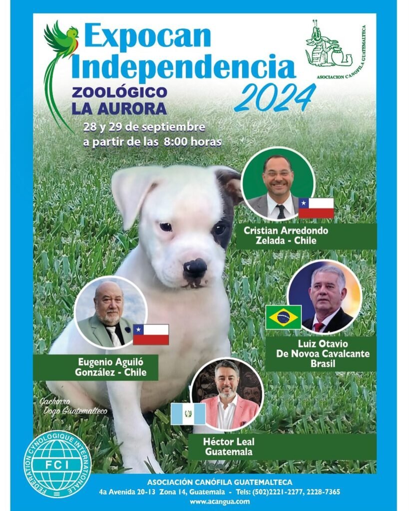 expocan independencia 2024