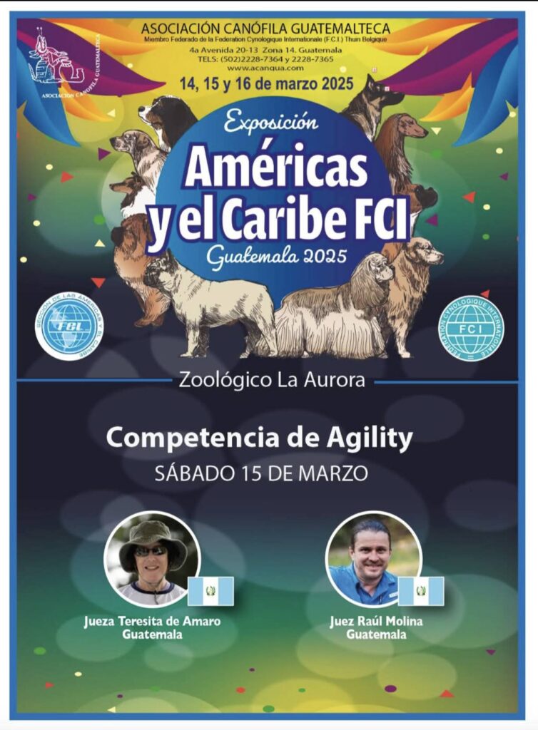 Americas y el Caribe 2025 Guatemala - Agility