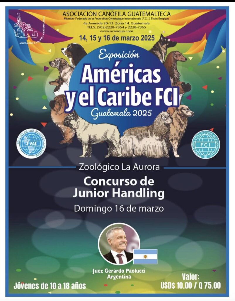 Americas y el caribe 2025 Guatemala -concurso de Junior Handling