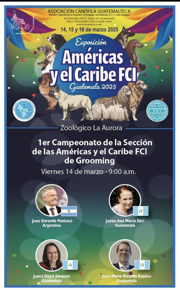 Americas y el caribe Guatemala 2025 - Competencia de Grooming