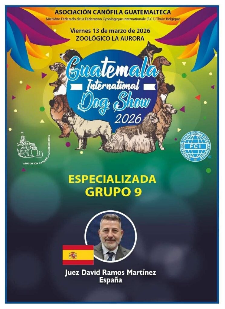 Grupo 9 Especializada 2026 - GIDS
