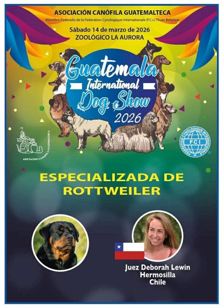 Rootweiler Especializada 2026 - GIDS