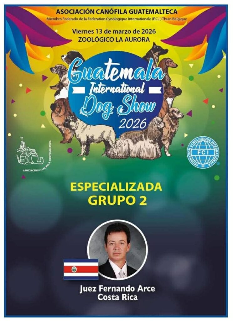 Grupo 2 - Especializada 2026 - GIDS