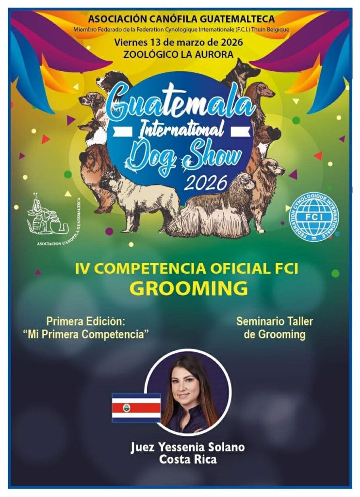 Grooming - Especializada 2026 - GIDS