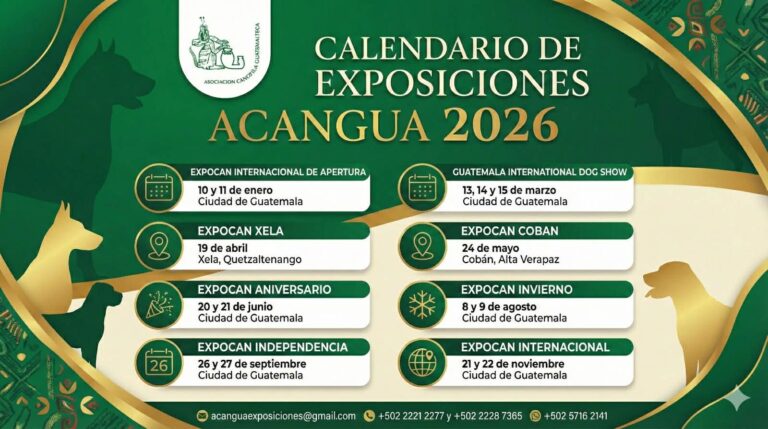 calendario de exposiciones 2026 - acangua